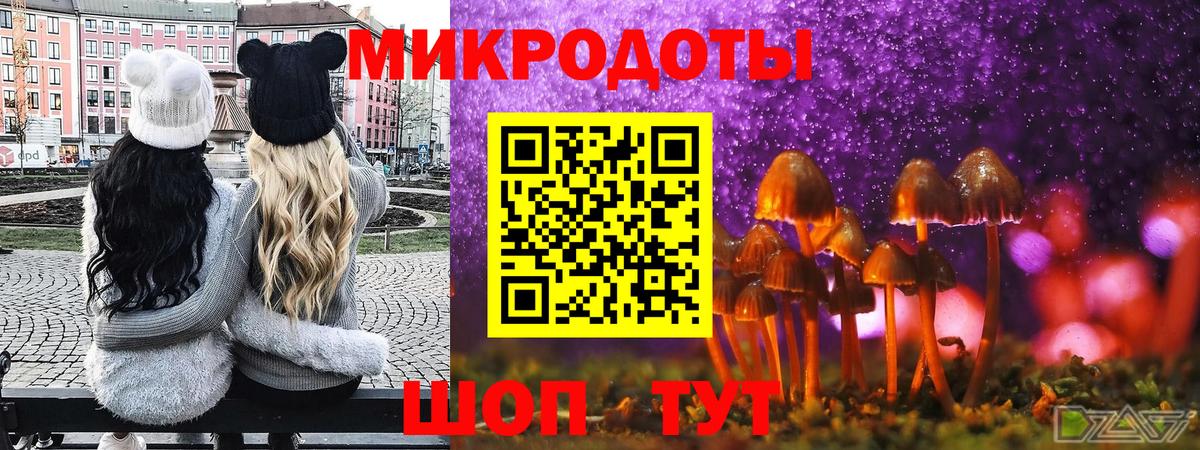 Галлюциногенные грибы GOLDEN TEACHER  Галлюциногенные грибы MAGIC MUSHROOMS  Вход с VPN  Тула 