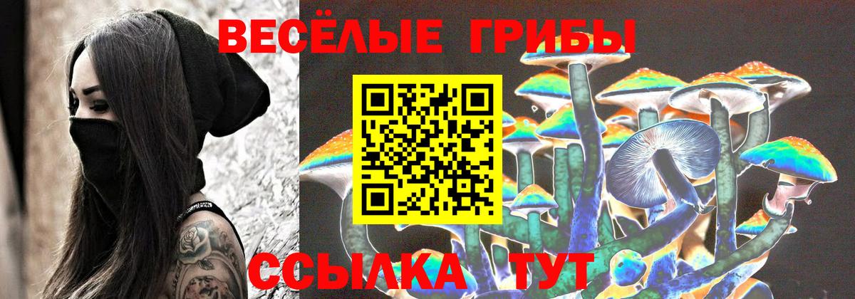 Галлюциногенные грибы Psilocybe Тула